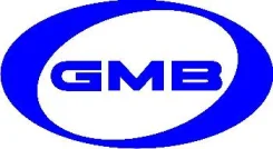 ����� �������� ����� ��� GMB GT10070 GT10070 ����