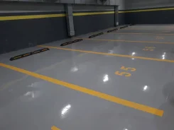 ����� �����������. ����