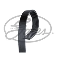 ������ ������������ Gates 6PK1033 XF 68814 6PK1033 ����