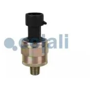 ������ �������� �����! RVI Premium/Magnum/Midlum/Kerax [178Cojali2260261] 2260261 ����