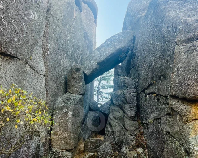 ������ ��������. ����