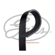 ������ ������������ Gates 7PK1243 7PK1243 ����