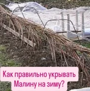��� ��������� ������ ������ �� ����. ��� ����� �� ���������� ����