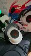 Ardor Gaming ����