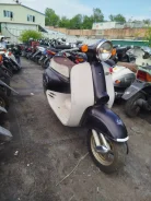 Honda Giorno. 49����. ��., ��������, ��� ���, ��� ������� ����