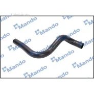�������� ��������� ������ DCC020646 ����