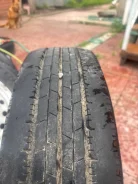 Dunlop SP 50. ������, 2018 ���, �/�, ����� 20 % ����