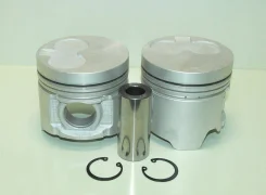 ������ WL WL-T �������� WLY8-11-SA0B Ranger W5Y811SAOD ����