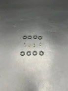 ����������� �������� MN195496 MN195496 ����