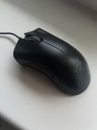 ���� �������. ����