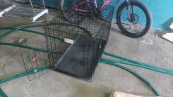 ������. ����