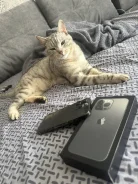 Apple iPhone 13 Pro. �/�, 1 ��, �����, 4G LTE, 5G, Dual-SIM, ����������, NFC ����
