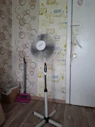 ���� ���������. ����