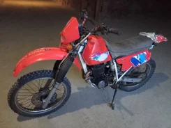 Honda XLR 250R ����
