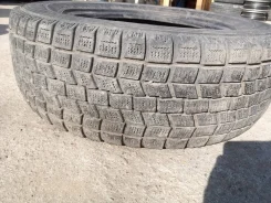 Falken Espia EP01. �����������, �/�, ����� 40 % ����