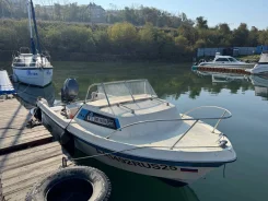 Yamaha Fish 17. 1995 ���, ����� 5,18��., ��������� ���������, 50��.�., ������ ����