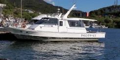 Yamaha 242S. 1998 ���, ����� 17��., ��������� ������������, 420��.�., ������ ����