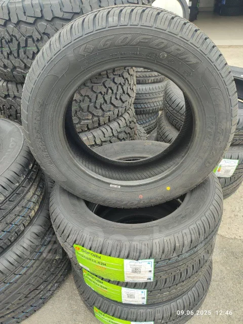 Goform G520. ������, 2025 ���, ����� ����
