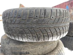 Nordman +. ������, ����������, �/�, ����� 60 % ����