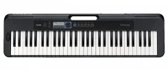 ���������� CASIO CTS300 ����