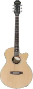 ������������������� ������ EPIPHONE PR-4E NA ����