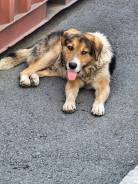 ������. ����