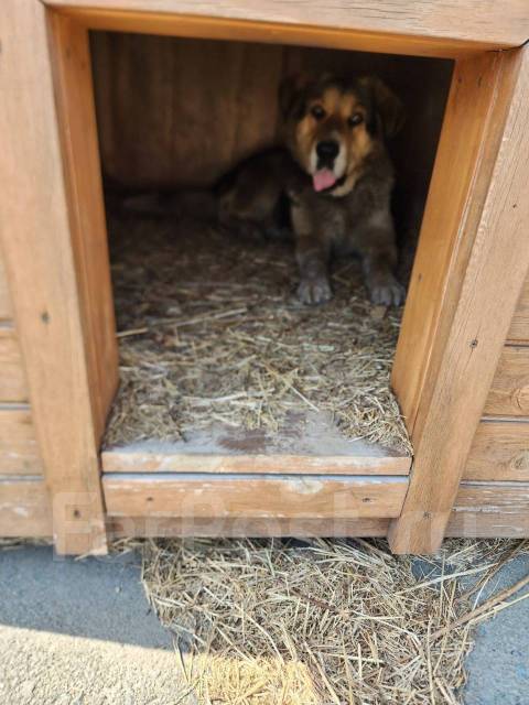 ������. ����