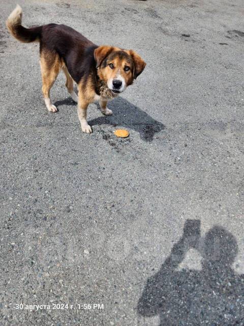 ������. ����