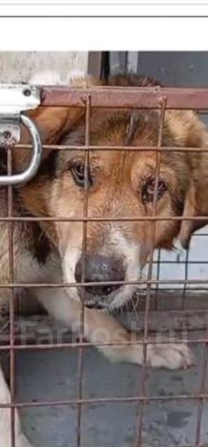 ������. ����