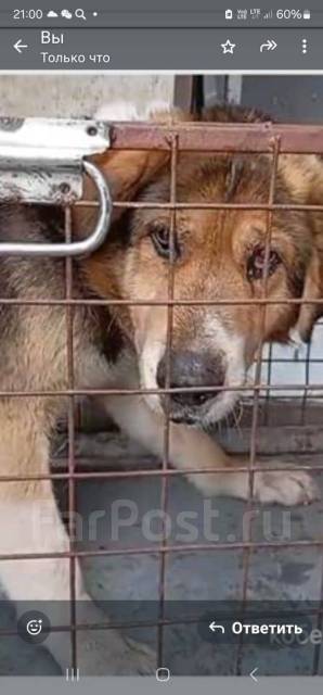 ������. ����