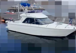 Yamaha CR-28. ����� 8,5��., ��������� ������������, 240��.�., ������. ��� ����� �� ������������ ����