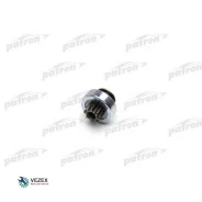 ������� �������� Renault: Clio II, Kangoo, Laguna I-II, Megane I, Scenic I 1.4 16V, 1.6 16V 1997-03 Patron P1011064 P1011064 ����