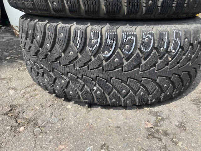 Nordman 4. ������, ����������, �/�, ����� 25 % ����