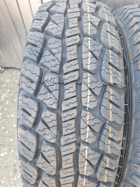 Hilo XT1. �����������, 2024 ���, ����� ����