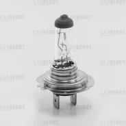 ����� �7 12V (55W) DayNight Carberry 31CA13 31CA13 ����