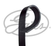 ������ ������������ Gates 7PK1243 7PK1243 ����