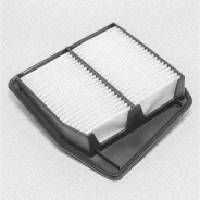 ������ ��������� ��� Honda Accord IX green-filter lf0181 LF0181 ����