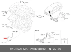 ������ ��������� ��������� Hyundai/Kia 391802B100 391802B100 ����