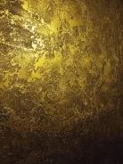 ���������. ����