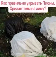 �����������. ��� ����� �� ���������� ����