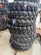 Roadbuster. �����������, 2024 ���, �����. ��������� ����
