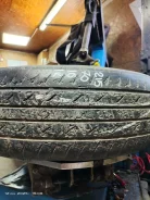 Nexen Classe Premiere 671. ������, �/�, ����� 70 % ����