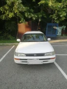 Toyota Corolla. �������, 4wd, 1.6 (110��.�.), ������ ����