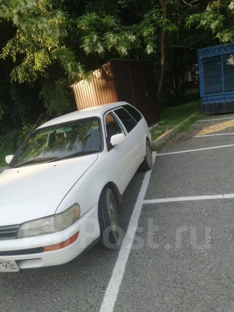 Toyota Corolla. �������, 4wd, 1.6 (110��.�.), ������ ����