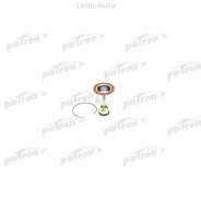 ��������� ��������� ������ Renault 19 B53A 91-95 PBK3596 ����