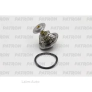 ��������� (��� ���������) FORD: Fiesta IV/V/Ka (1.3/1.6) 00-08 PE21039 ����
