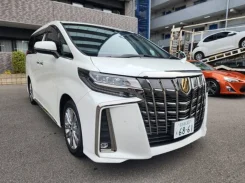 Toyota Alphard. �������, 4wd, 2.5 (182��.�.), ������, 20 000����. ��, �/�. ��� ����� �� ������������ ����