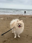 ����. ����