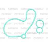 ��������� ���������� ������ (�-� 2 �����) VAG 1.9TDI PG30079 ����