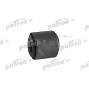����������� ������ ����� Nissan AD VAN/Wingroad Y11 99-04 PSE10670 ����
